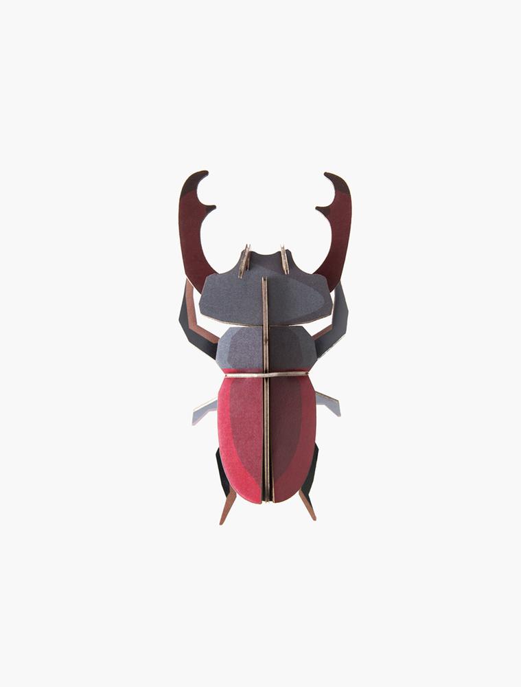 Insecto stag beetle 1