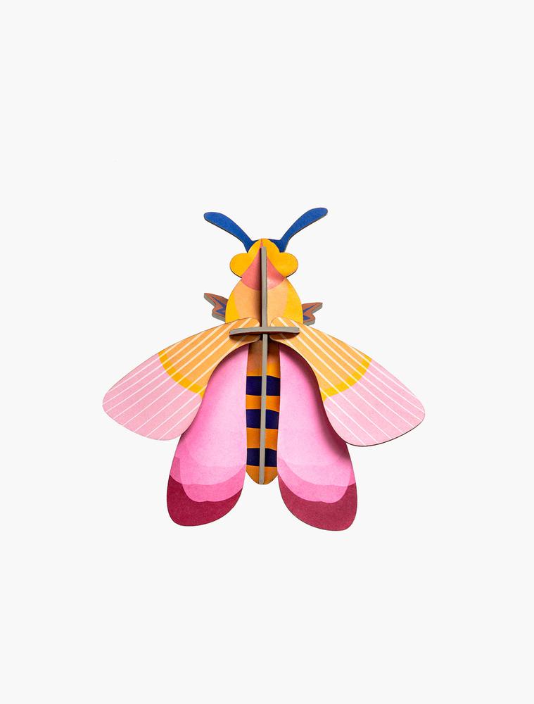 Insecto pink bee