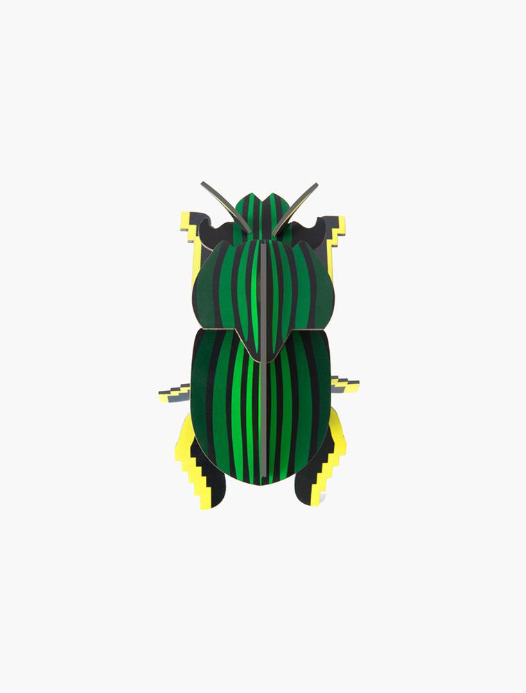 Insecto scarab beetle