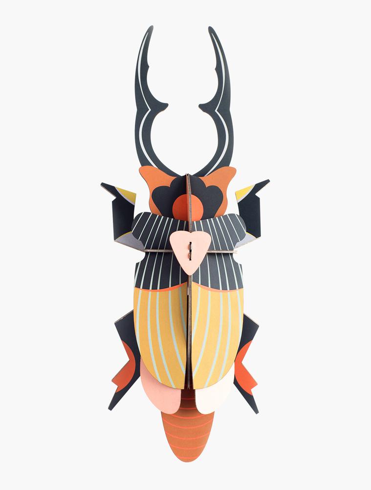 Insecto stag beetle