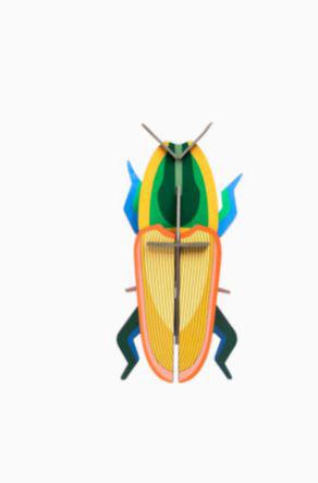 Escarabajo madagascar