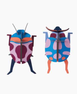 Escarabajo pareja coccinelle