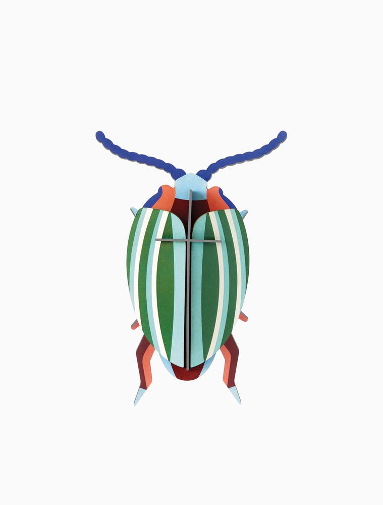 rainbow leaf beetle.jpg