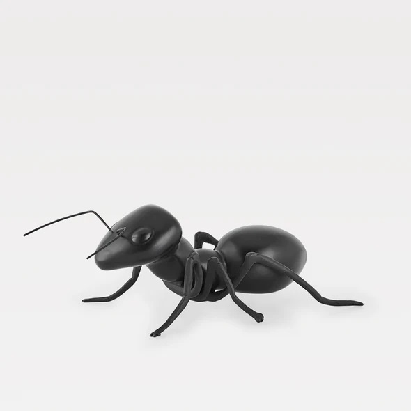 Hormiga en construccion mate.jpg