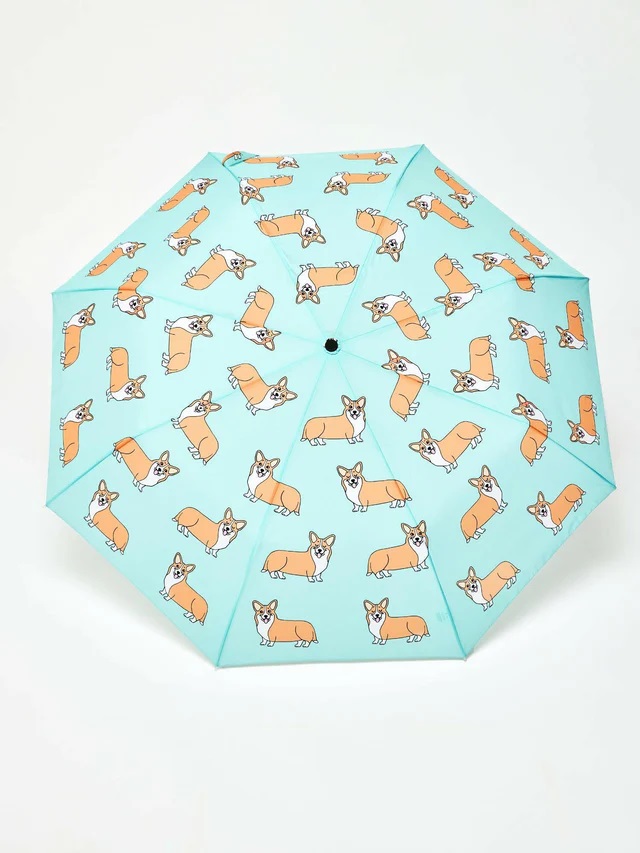 Paraguas pato perro corgi.jpg